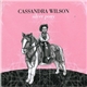 Cassandra Wilson - Silver Pony