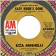 Liza Minnelli - (I Wonder Where My) Easy Rider's Gone