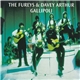 The Fureys & Davey Arthur - Gallipoli