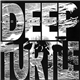 Deep Turtle - John Peel Session