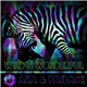 A.K.A. & Payback - Wild N Wonderful