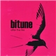 Bitune - After The Fire