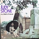Judy Stone - In A Field Of Stone