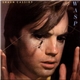 Shaun Cassidy - Wasp