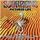 Scorpions - Pictured Life (All The Best)